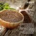 Cuminry All of Monte Nativo 300g - Premium Cumin Seeds for Cooking & Cumin Tea - Gently Dried Spices - Buy Online on GoSupps.com