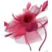 Ladies Feather Fasciantor Clip/Aliceband Hair Piece Weddings Races Royal Ascot (Burgundy) - Buy Online on GoSupps.com