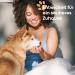 Petbee Animal Hair Remover & Cleaning Brush | Self-Cleaning Reusable Tool for Dogs Cats & More | Perfect for Sofa Car Clothing - Buy Online on GoSupps.com