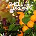 Peach 1oz Cologne Spray Perfume for Women Peach 1 Fl Oz (Pack of 1) - Buy Online on GoSupps.com