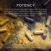 Gaia Herbs Reishi Mushroom Capsules - 40 Vegan Immune Support Supplements - Buy Online on GoSupps.com