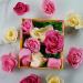 Heathcote & Ivory Sweet Pea Honeysuckle Scented Soap - Add Luxury to the Bath - Cruelty Free & Vegan - Perfect Gift - 96g - Buy Online on GoSupps.com