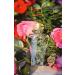 Sapil Nancy Green Perfume for Women | Long-lasting Dubai Perfume | Floral Powdery EDP Spray | 1.7 Oz (50 ml) | Exotic Arabic Cologne for Women | Women's Fragrance for Daily Wear - Buy Online on GoSupps.com