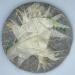 Pu-erh tea 2007 Charming Xinghai Pu'er Tea 357g Raw - Buy Online on GoSupps.com