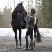 HORZE Daniela Silicone Grip Full Seat Breeches | High Waist Equestrian Riding Pants Black 34 - Buy Online on GoSupps.com