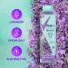 Degree Maximum Recovery Body Wash and Soak - Lavender Extract + Epsom Salt - 22 Fl Oz (Pack of 4) - Buy Online on GoSupps.com