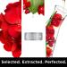 ApotheCARE Essentials Restorer In-Shower Oil - Rosehip, Geranium & Aloe Vera 12 oz - Buy Online on GoSupps.com