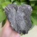 Natural Crystal Rough Natural Black Bismuth Titanium Home Decoration Can be Used for (Size : 100-150G) (Size : 100-150G) - Buy Online on GoSupps.com