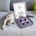 Buy ne & no Valerian Spray Gift Set for Cats - 2 x 50ml | Perfect for Toys Scratching Trees Litter Box | Enhance Playtime with Cat Mint Spray - Buy Online on GoSupps.com