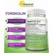 Forskolin 500mg Max Strength - 120 Capsules | Natural Weight Loss Fuel with Coleus Forskohlii Root | Belly Buster Fat Burner for Slim Trim Results - Buy Online on GoSupps.com