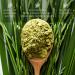 Organic Gerstengrass Powder 900g - Vegan Barley Grass from Bavaria | Bio Quality Lab Tested International Shipping - Buy Online on GoSupps.com