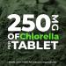 Earth Circle Organics Premium Chlorella Tablets - USDA Organic, Kosher, High Potency Superfood with Broken Cell Wall - 1000 Count - Buy Online on GoSupps.com