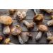 Tealdi Taglioni with Porcini Mushrooms - Authentic Italian Pasta 250g | Gourmet Porcini Mushroom Tagliatelle for International Shipping - Buy Online on GoSupps.com
