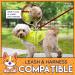 Orange Safety Reflective Dog Vest | 5 Sizes | Leash Hole | Snap Lock Buckle | High Visibility for Outdoor Activities | Medium - Keep Your Dog Safe - Buy Online on GoSupps.com