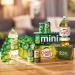 Canada Dry Bold Ginger Ale Mini Cans 7.5 fl oz - 6 Pack - Buy Online on GoSupps.com