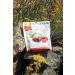 Fruit Bliss Organic Tart Cherries  4 Ounce 4 Ounce (Pack of 1) Tart Cherries - Buy Online on GoSupps.com