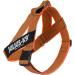 Julius-K9 Color & Gray Belt Harness L/1 - Orange-Grey | Premium International Shipping - Buy Online on GoSupps.com