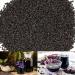 Foothills Naturals Elderberry Organic Whole - 454g / 1 Pound 200+ Servings - Buy Online on GoSupps.com