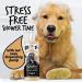 BUGALUGS Oatmeal & Aloe Vera Dog Shampoo dog grooming shampoo products for smelly dogs with fragrance oatmeal puppy shampoo professional Vegan pet shampoo & conditioner (500ml) Shampoo 499ml - Buy Online on GoSupps.com