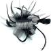 Looped Feather Comb Fascinator for Women Ladies Day Races Ascot Weddings Hair Piece (Black) Black L - Buy Online on GoSupps.com