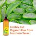 After Sun Solar Recovery Spray with Freshly Cut Texas Aloe - Instant Sunburn Relief for Skin & Face, Mango & Chamomile - 12 Oz - Buy Online on GoSupps.com