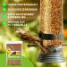 Premium 1kg Dried Mealworms - High Protein Flourworms for Reptiles Birds Fish & More | International Shipping Available - Buy Online on GoSupps.com