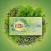 Lipton Th Vert Menthe 100 Sachets (Lot de 2x50 Sachets) Menthe 2x50 Sachets - Buy Online on GoSupps.com