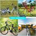 2-Piece Adjustable Bike Mirror Set | Wide Angle Cycling Rear View Mirrors | Shockproof Convex Lens for Mountain & Road Bikes - Buy Online on GoSupps.com