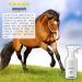 C&G Pets Horse Anti Bacterial Anti fungal Antiviral Purple Wound Spray 500 ML 500 ml (Pack of 1) - Buy Online on GoSupps.com