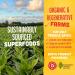 Vive Organic Energy Shot + Immune Support with Ashwagandha, Green Tea, Caffeine | 2 Fl Oz (Pack of 12) - Gluten Free, Vegan | Energy & Focus Boost - Buy Online on GoSupps.com