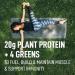 Buy LeanFit Plant-Based Protein & Greens - Natural Vanilla 20g Vegan Protein 4 Leafy Greens Gluten-Free No Sugar - 19 Servings - Buy Online on GoSupps.com