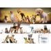 Phoenix Enzyme Cleaner Cat Urine Remover - 5 Pack (20g Each) | Eco-Friendly & Effective Odor Eliminator for Pets - Buy Online on GoSupps.com