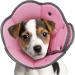 Iecoii Rewrise for dog leak protection sore crane for small dogs hubrous cat cat soft cone for dogs to stop after the operation licking adaptable dog cone for chihuahua pink s rosa