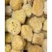 Natural Sea Sponge 5-6 inches - Renewable Resource for The Perfect Bath and Shower Experience - Buy Online on GoSupps.com