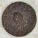 Pu-erh tea 2007 Charming Xinghai Pu'er Tea 357g Raw - Buy Online on GoSupps.com