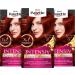 Palette intensive creme coloring 6-88/678 ruby red level 3 (3 x 115 ml) permanent hair color for up to 8 weeks of intensive color gloss & 100 % gray coverage
