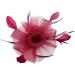 Ladies Feather Fasciantor Clip/Aliceband Hair Piece Weddings Races Royal Ascot (Burgundy) - Buy Online on GoSupps.com