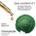 Chlorophyll Liquid Drops 100ml | Purified Chlorophyll Antioxidant & Detoxifying - Liver & Gut Colon Detox | Vegetable Glyceric Macerate | J.Armor Pharma - Buy Online on GoSupps.com