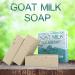 Natural American Goat Milk Bar Soap - Sea Breeze Scent | Made in USA | Organic Shea Butter | No Harmful Chemicals | 3pk Bars for Sensitive Skin - Buy Online on GoSupps.com