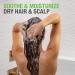 Neutrogena Soothing & Calming Healthy Scalp Shampoo with Tea Tree Oil - 12oz | pH-Balanced, Paraben-Free, Phthalate-Free - Ideal for Dry Scalp & Color-Treated Hair - Buy Online on GoSupps.com