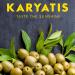 Karyatis Spanish Green Pitted Olives in Brine Glass Jar 907g - Buy Online on GoSupps.com