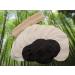Premium Washable Makeup Removal Pads - Eco-Friendly Bamboo (16 Pieces) | Zero Waste Reusable Pads for Sustainable Beauty - Buy Online on GoSupps.com