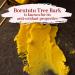 Better Shea Butter African Shea Butter - Raw Unrefined Pure - For Hair, Soap Making, DIY Lotions - 1 lb Yellow Block - Buy Online on GoSupps.com