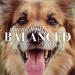Burt's Bees Shed Control Shampoo for Dogs | Omega-3 & Vitamin E | 16 fl oz - Buy Online on GoSupps.com