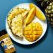 Tabitha Brown's McCormick Sunshine All Purpose Seasoning 3.82 oz - Authentic flavor blend - Buy Online on GoSupps.com