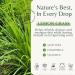 Lemongrass Body Wash with Vitamin E Cleanses Refreshes & Invigorates Shower Gel for Dry and Sensitive Skin Women & Men Organic & Natural 16 fl oz 2-Pack Lemongrass 16 Fl Oz (Pack of 2) - Buy Online on GoSupps.com