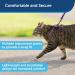 PetSafe Come with Me Kitty Harness & Bungee Leash for Cats - Lilac/Light Purple - Small - Comfortable Safe and Adjustable Hiking Gear - Buy Online on GoSupps.com