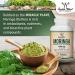 Organic Moringa Lactation Supplement - Boost Breast Milk Supply with Superfood Support | Double Wood Supplements - Buy Online on GoSupps.com
