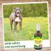 CDVet Milbenex for Animals 100ml - Effective Mite Treatment for Pets | International Shipping Available - Buy Online on GoSupps.com