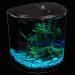 AquaView 3.5-Gallon Aquarium Starter Kit with Power Filter & LED Lighting - Ideal for Various Fish - 7 Color Selections - Buy Online on GoSupps.com